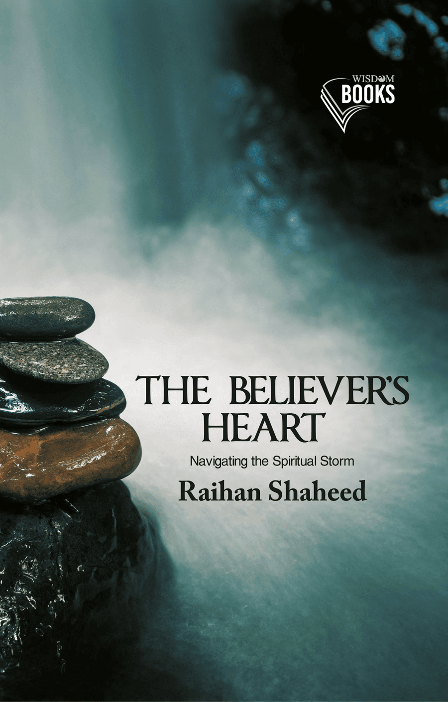 THE BELIEVER'S HEART Navigating the Spiritual Storm (cover)